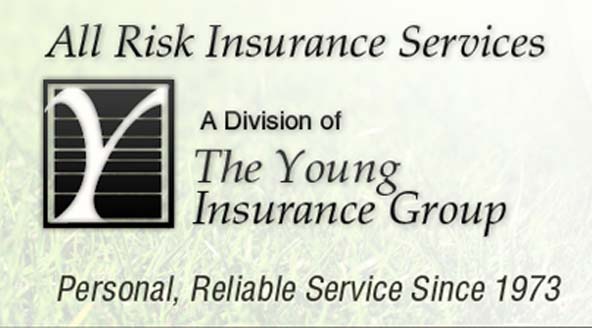 The Young Insurance Group